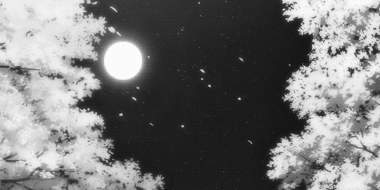 moonsky